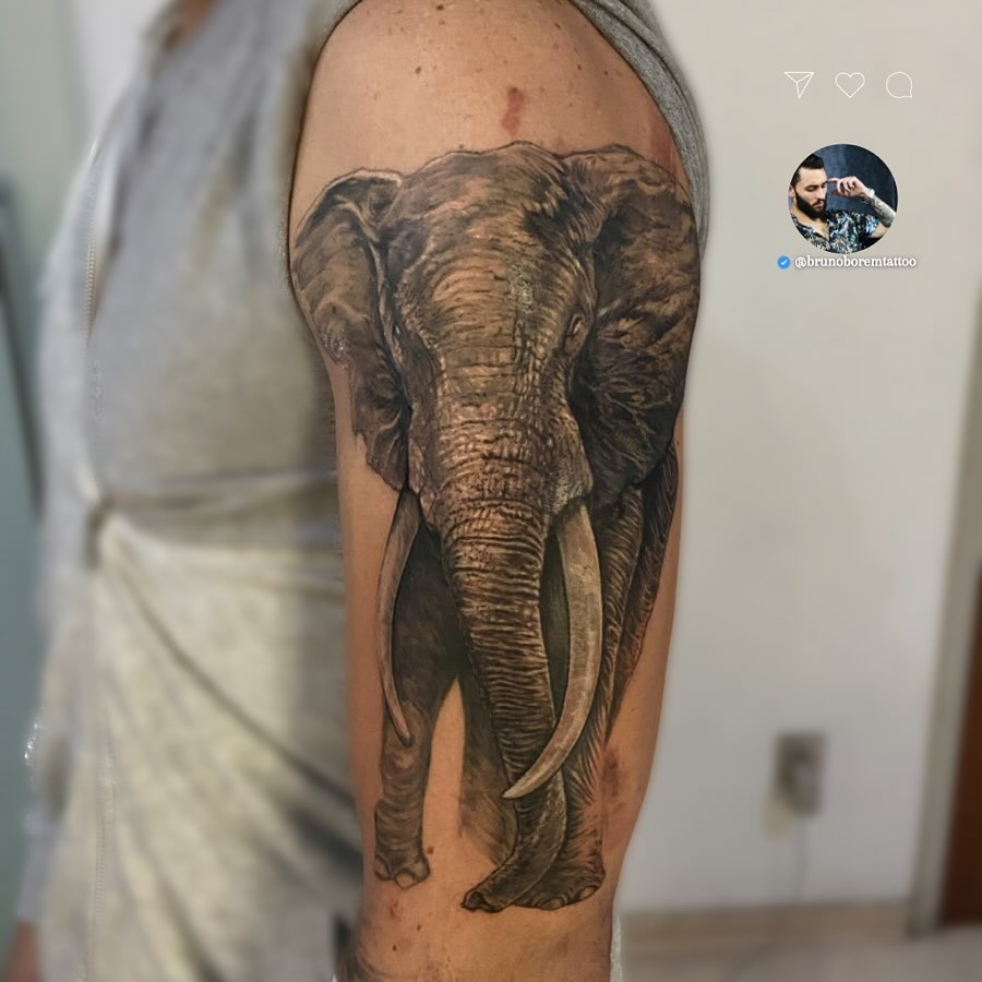 Elephant black and grey realism