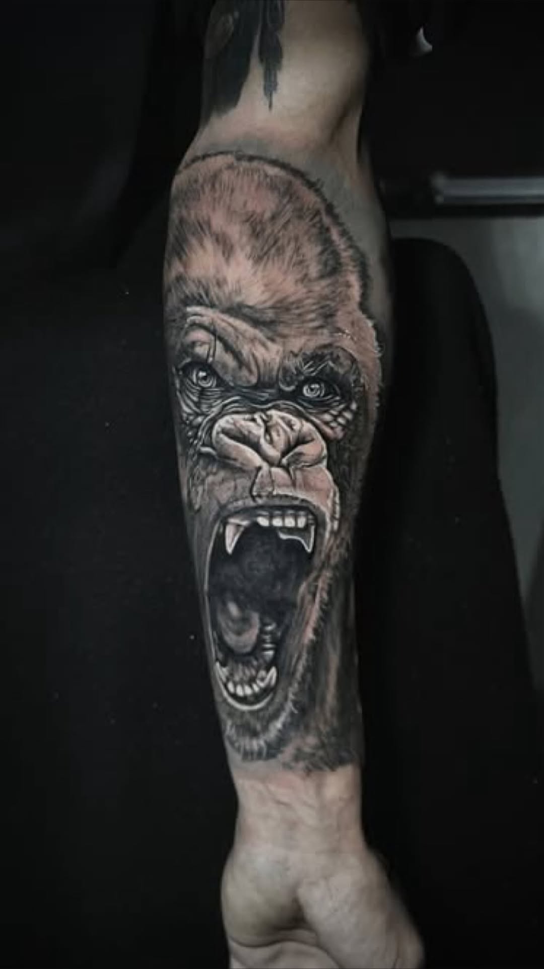 Roaring gorilla black and grey realism