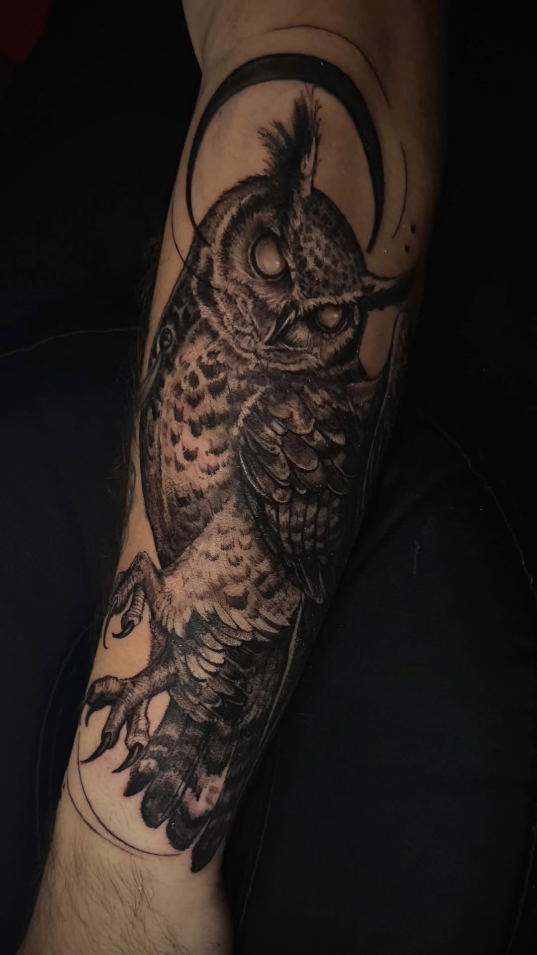 Owl black and grey realism